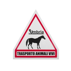 CARTELLO TRASPORTO CAVALLI UMBRIA EQUITAZIONE