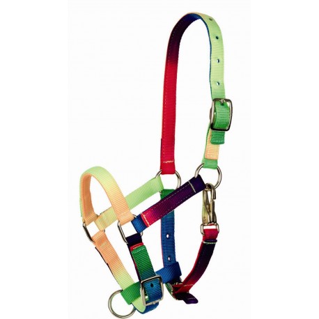 Capezza Tattini Multicolore Pony