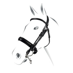 BRIGLIA EQUESTRO MODELLO EVOLUTION