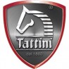 Tattini