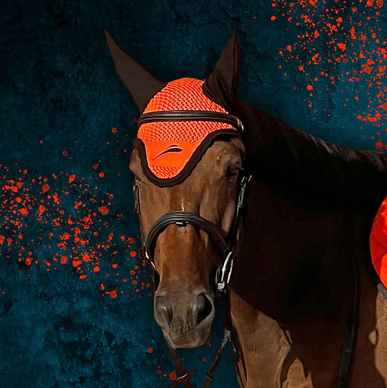 Cuffia Equick