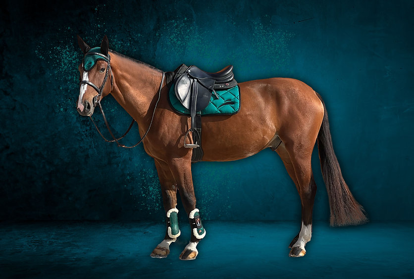 Saddle Pad eQuick - immagine 2