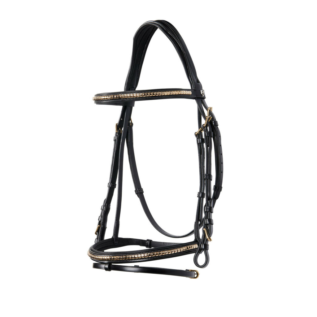 TESTIERA EQUESTRO MODELLO CLINCHER