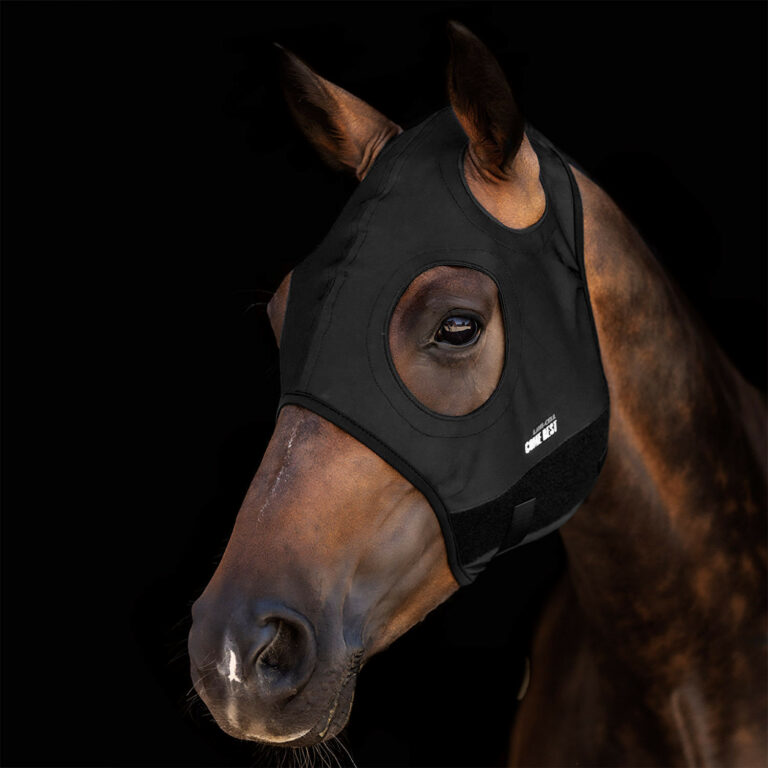 Maschera in titanio