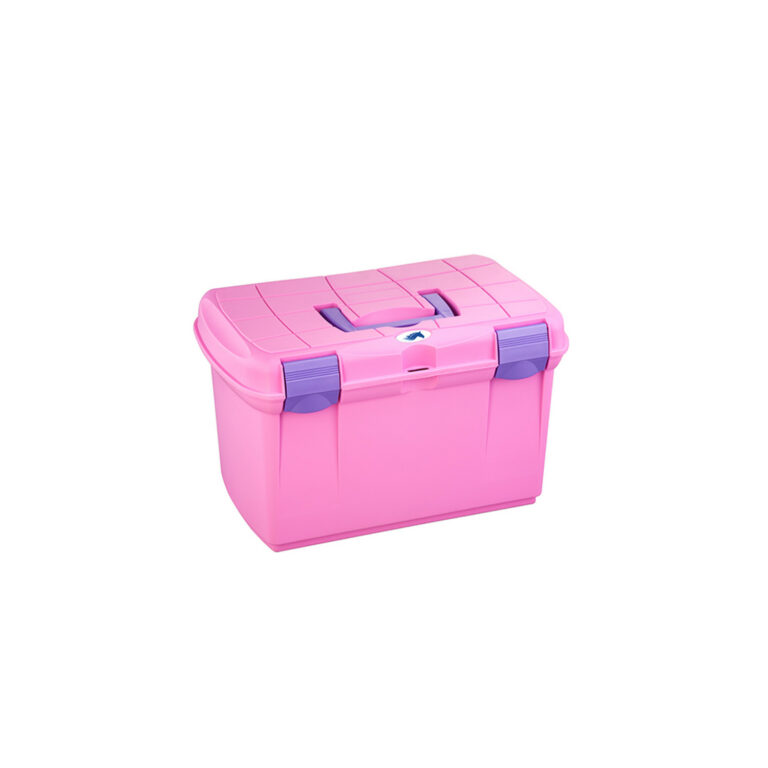 BAULETTO PONY