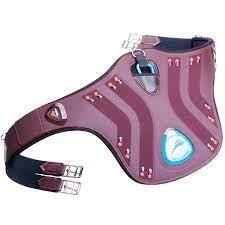 Pararamponi Equick eDiamond