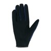 GUANTI ROECKL MILANO WINTER (RO3301-588)