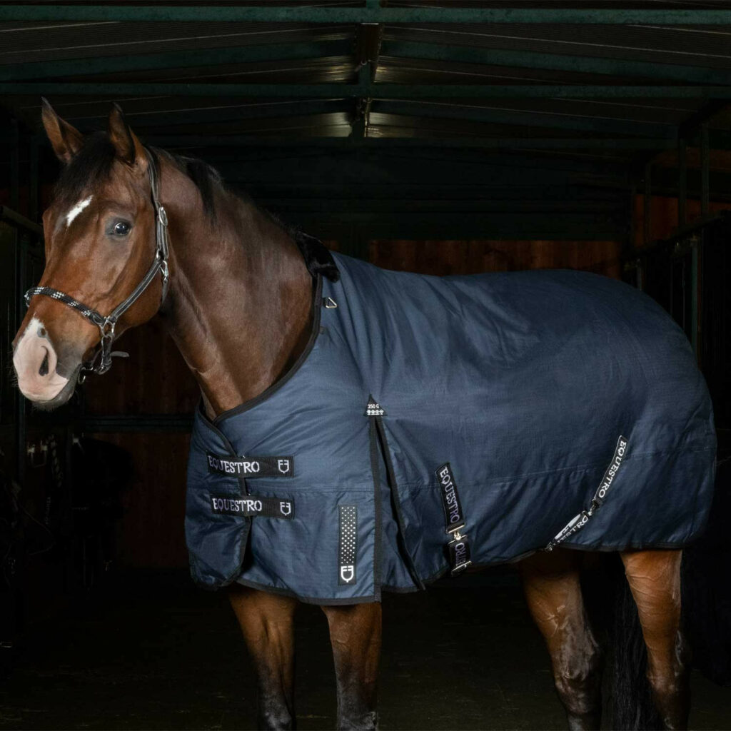 Coperta da paddock Nevada 250 gr in tessuto antistrappo