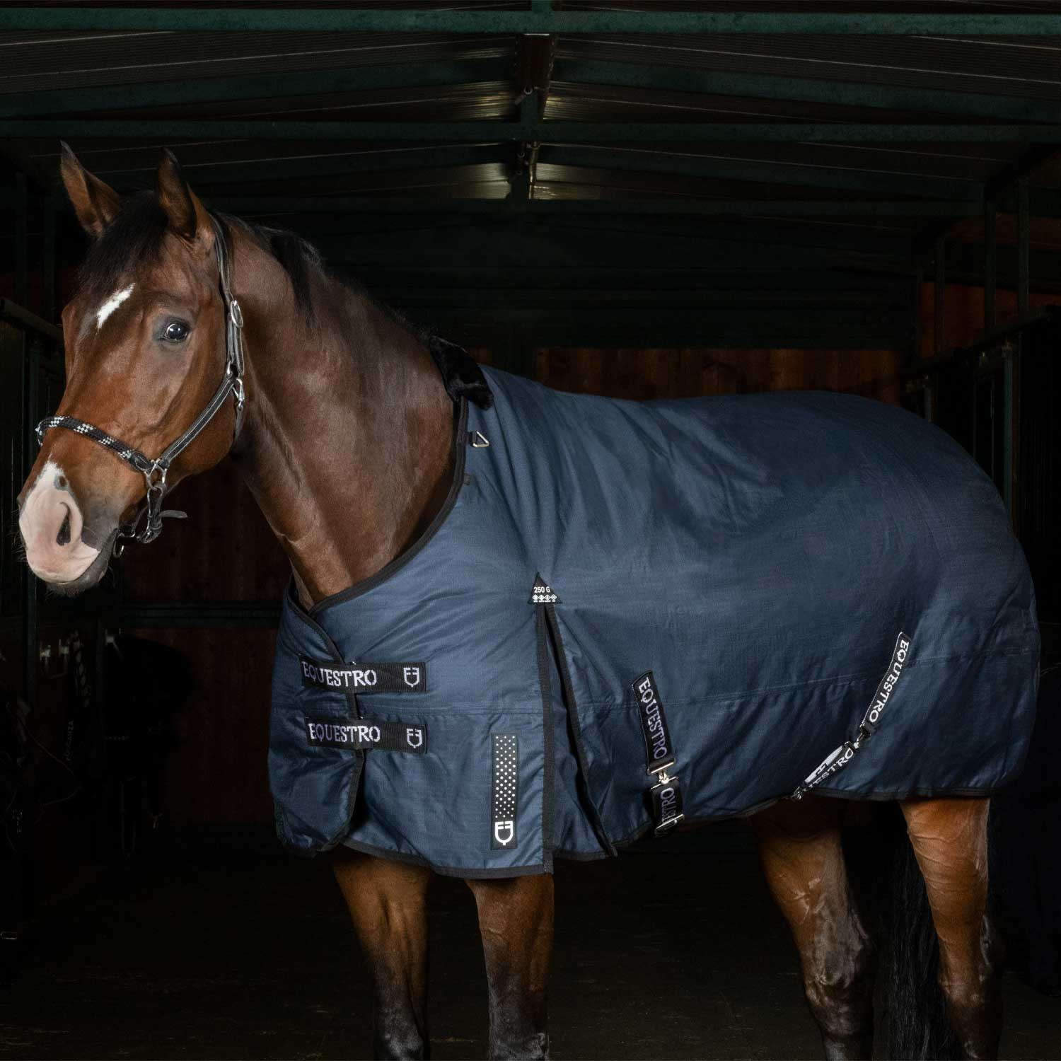 Coperta da paddock Nevada 250 gr in tessuto antistrappo